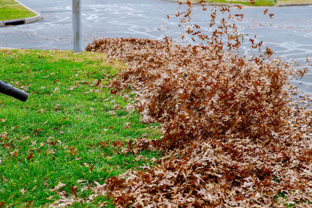 10 Fall Yard And Landscape Jobs To, Do Landscapers Work In The Winter