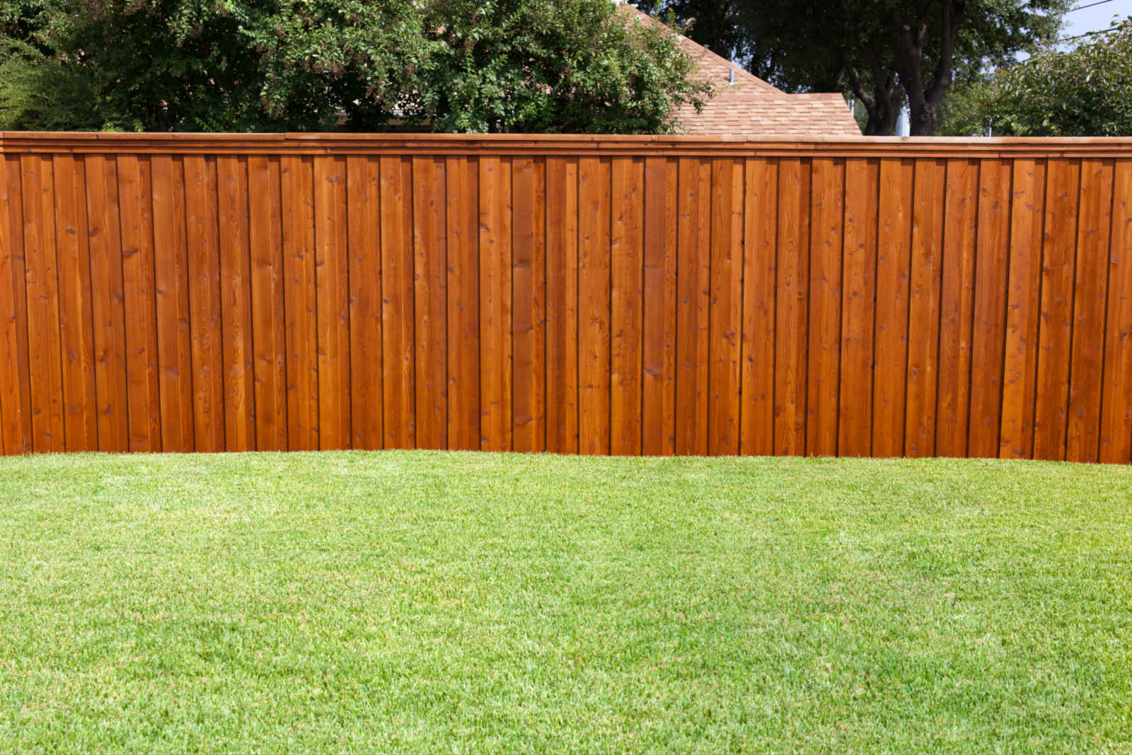 eagle eye fence