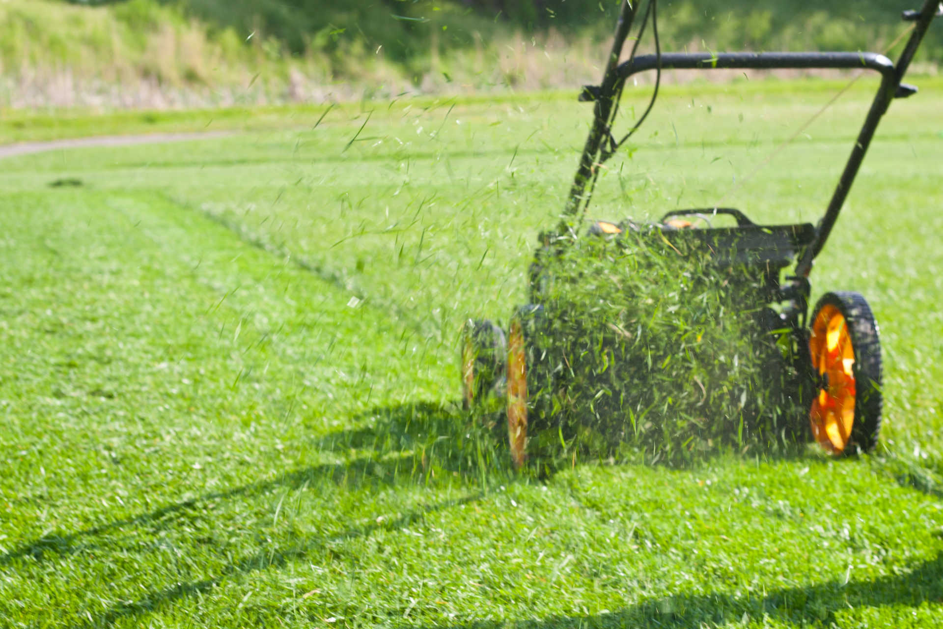 Grasscycling