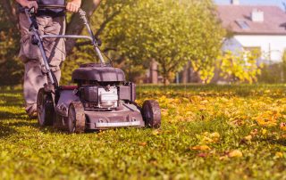 Lawn Maintenance