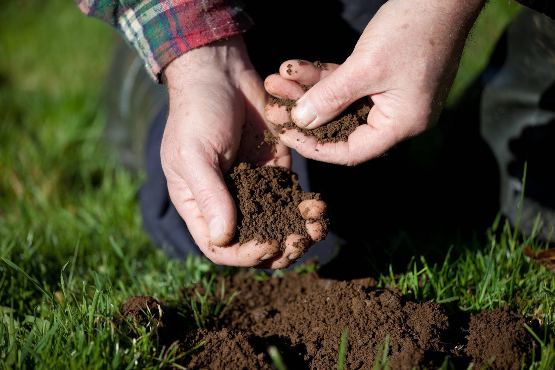 Lawn Maintenance