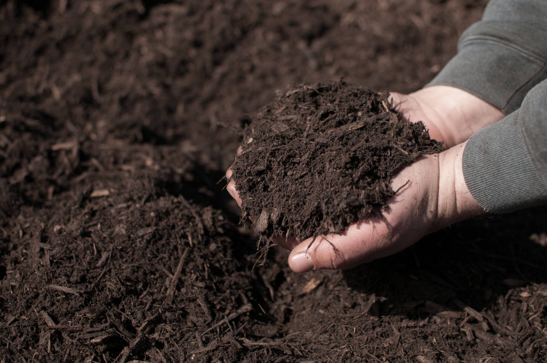 Winter Mulch