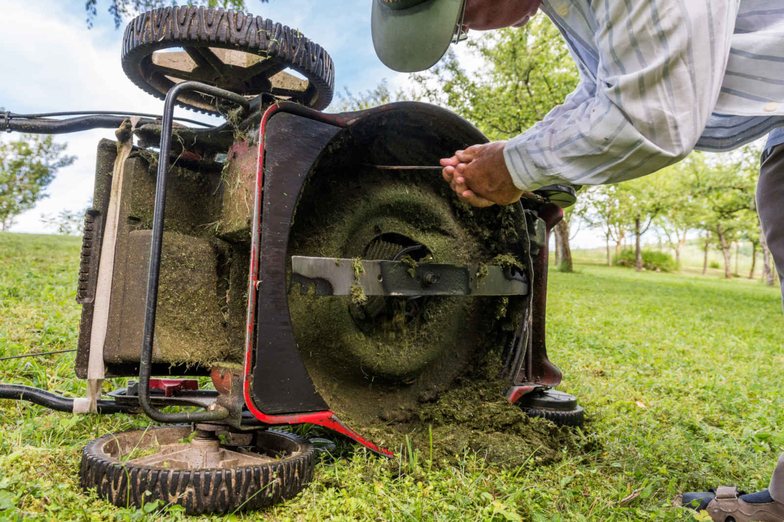 Spring Preparations